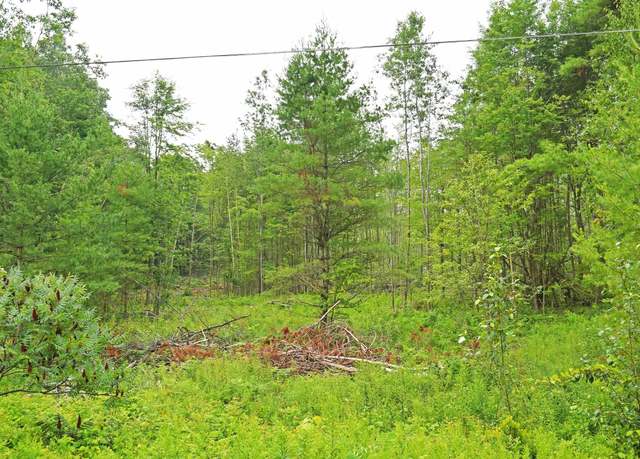 Property at Parcel H F-30, Greenbush, MI 48738