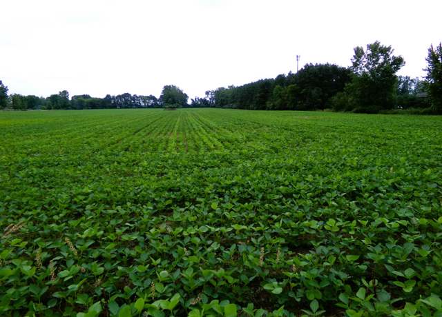 Property at TBD Garfield Rd, Saginaw, MI 48603