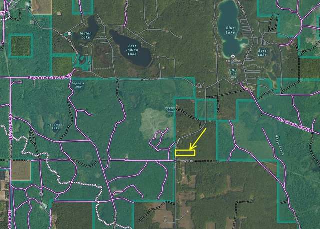 Property at 5124 Blue Lake Road, NE, Kalkaska, MI 49646
