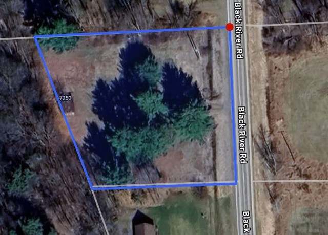 Property at 7250 Black River Rd, Croswell, MI 48422