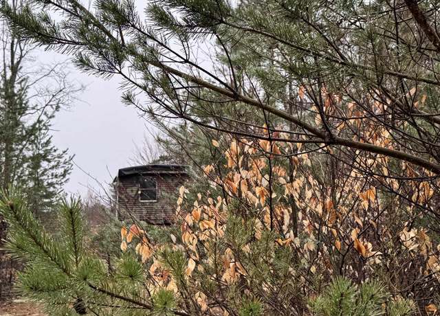 Property at County Line Rd, Mancelona, MI 49659