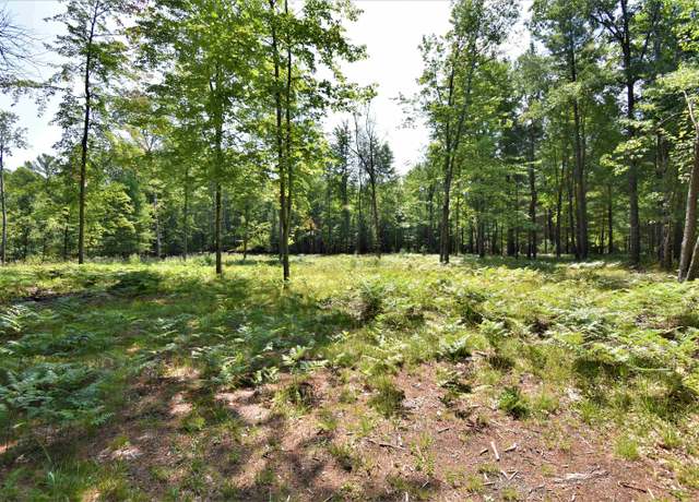 Property at N Forest Lake Dr, Moffatt Twp, MI 48610