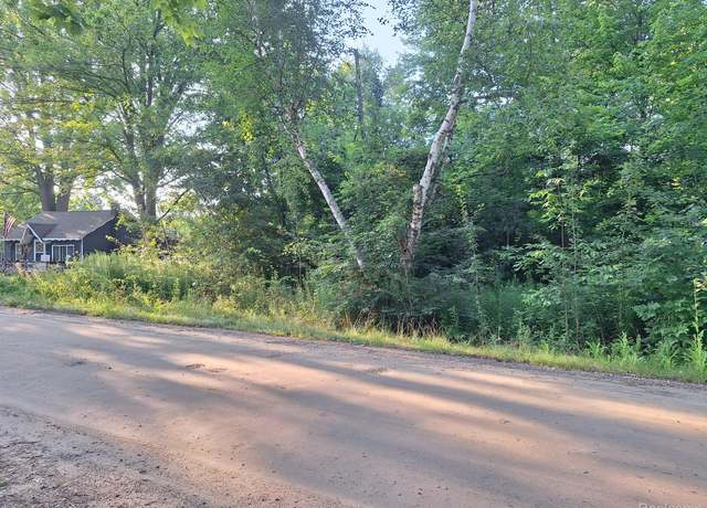 Property at 000 Birchwood Rd, Lexington, MI 48450