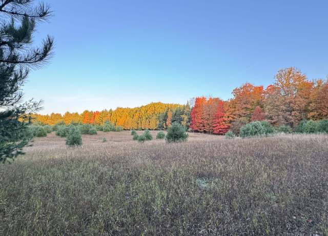 Property at Lot #7 E Bellinger Rd, Cedar, MI 49621