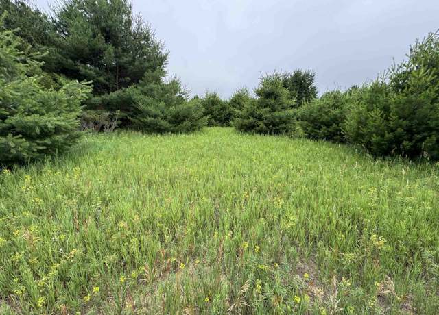 Property at Lot #7 E Bellinger Rd, Cedar, MI 49621