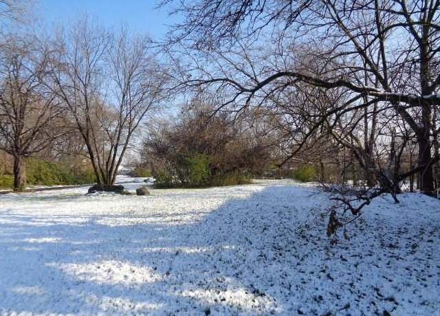Property at 2738 Rosa Parks Blvd Blvd, Detroit, MI 48216