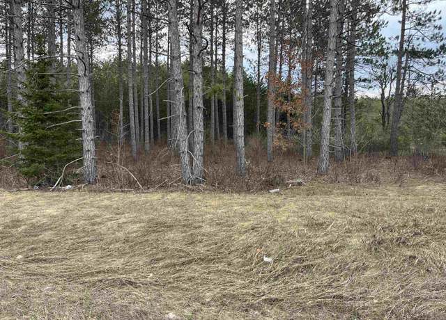 Property at 6234 NE Us-131 N, Kalkaska, MI 49646