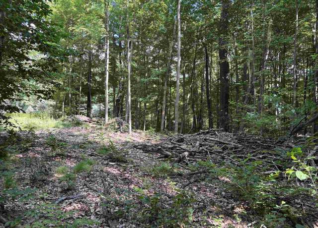 Property at 116 Knoll One Dr, Leroy, MI 49655