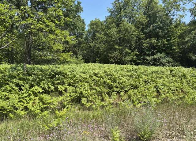 Property at VL S Riverview, Lake Township, MI 49651