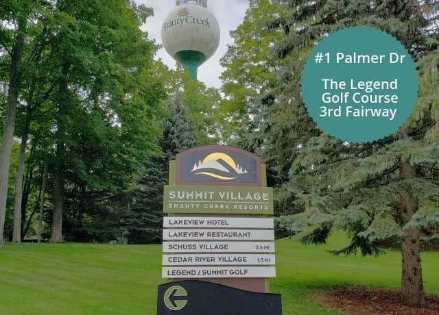 Property at 1 Palmer Dr, Bellaire, MI 49615