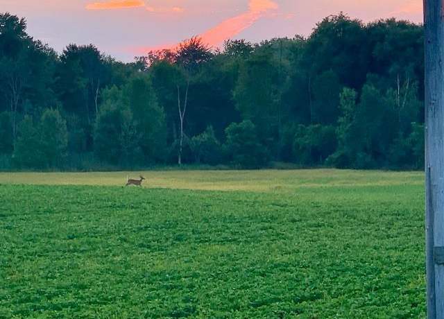 Property at 00 State Rd, Applegate, MI 48401