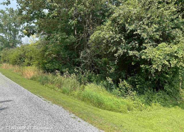 Property at 0 Townline Rd, Bridgeport Charter Township, MI 48415