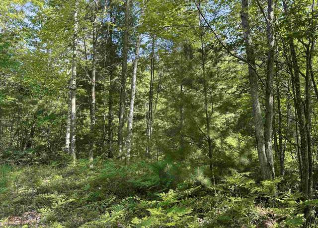 Property at 0 Fern Ave, Cadillac, MI 49601