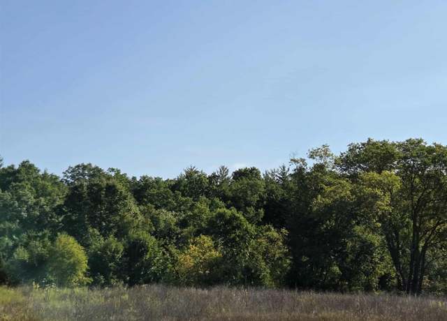Property at 00 Runyan Ln, Plainfield Township, MI 48739