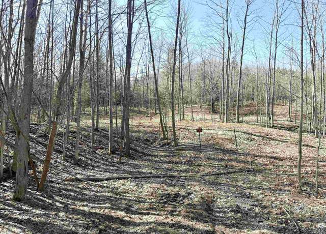 Property at 161 W Nachazel Rd, Maple City, MI 49664