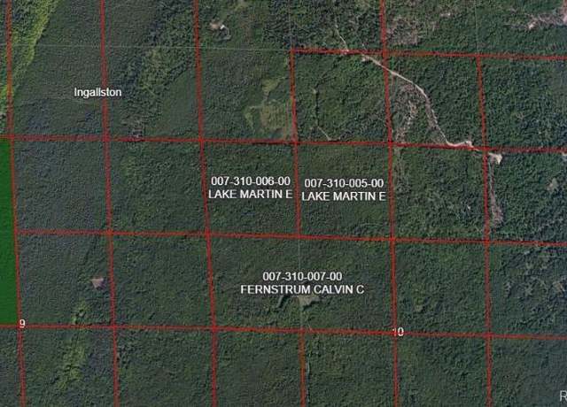 Property at 0 Million Dollar Rd, Ingallston Township, MI 49858