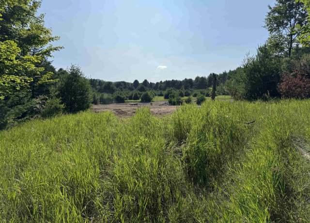 Property at Lot #6 E Bellinger Rd, Cedar, MI 49621