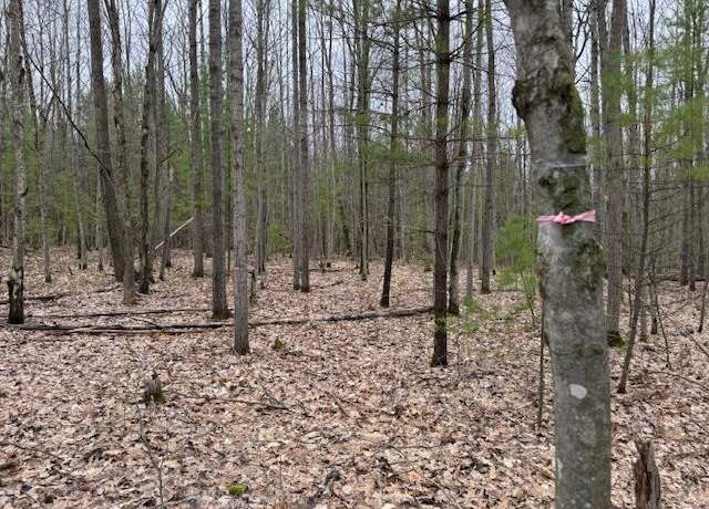 Property at VL Gaukel Rd, Lake City, MI 49651