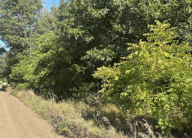 Property at Lots 26-30 Willow St, Garfield Township, MI 48632
