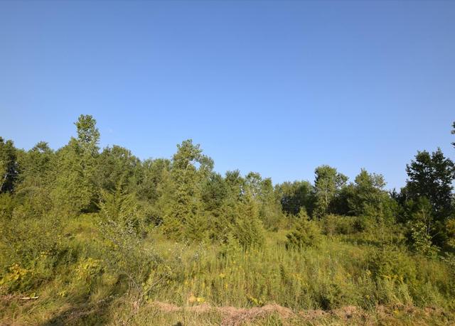 Property at 8506 Duffield Rd, Flushing, MI 48433