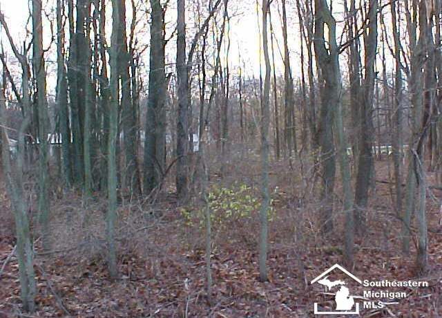 Property at Lot 18/19 Onway Dr, Ottawa Lake, MI 49267