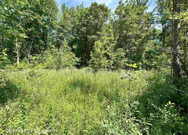 Property at VL Dale Rd, Beaverton, MI 48612