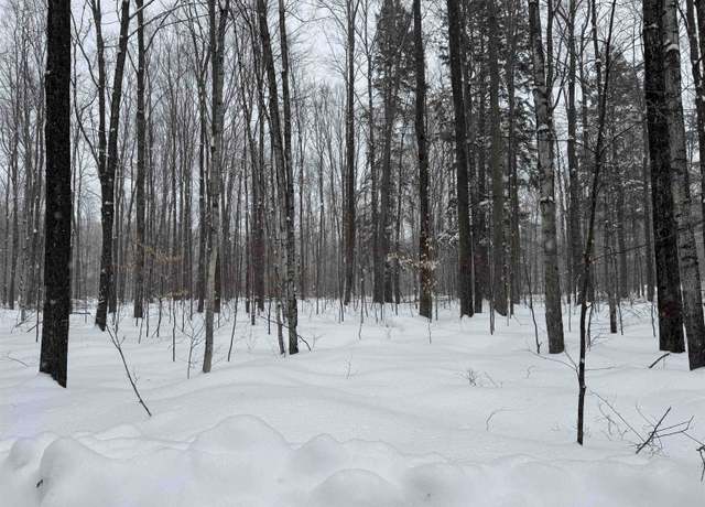 Property at 00 Dreffs Off Mccoy Rd, Gaylord, MI 49735