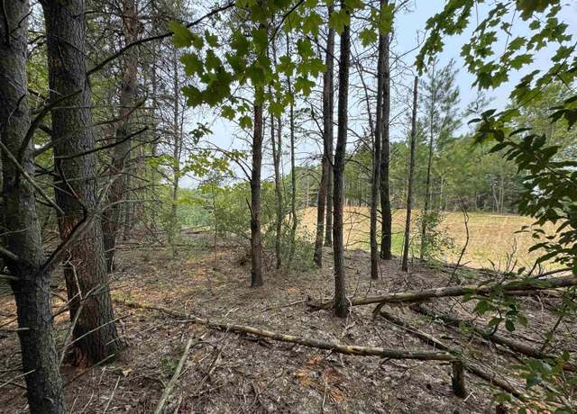 Property at Lot #1 E Bellinger Rd, Kasson Township, MI 49621