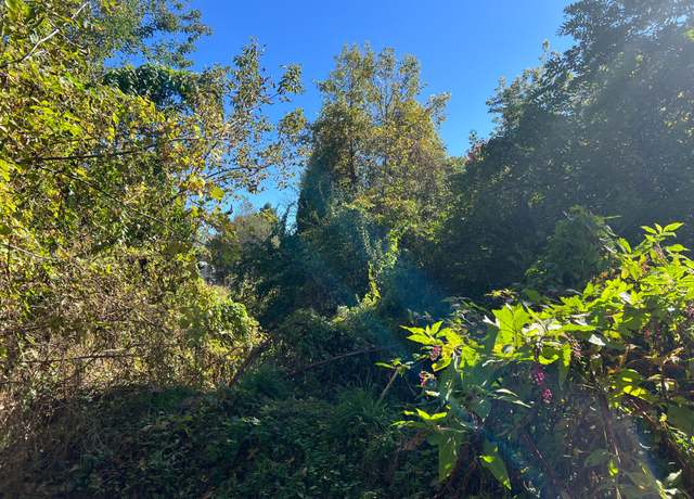 Property at VL Peavy Rd, Howell, MI 48843