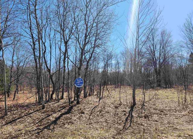 Property at Valley Park Dr, Mancelona, MI 49659