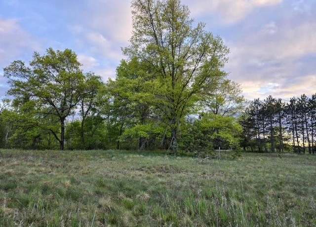 Property at V/L cedar and 12th St, Evart, MI 49631