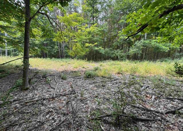 Property at Lot #2 E Bellinger Rd, Kasson Township, MI 49621
