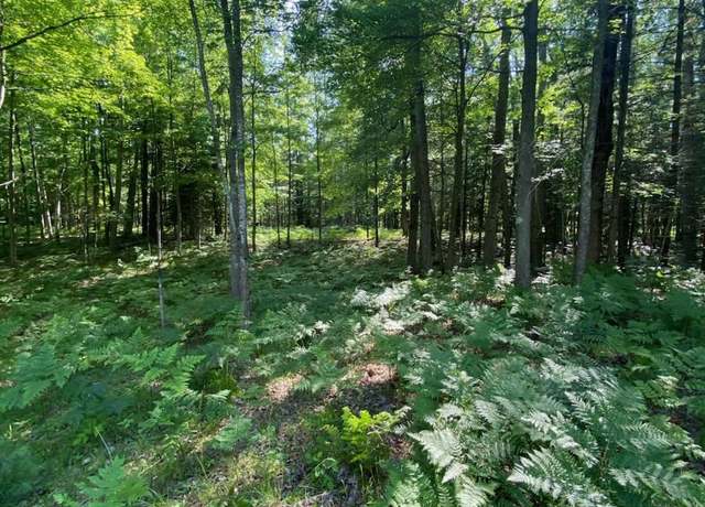 Property at 2569 E Wildwood Trl, Mikado, MI 48745