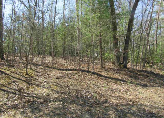 Property at 00_VL Onondaga Trl, West Branch, MI 48661