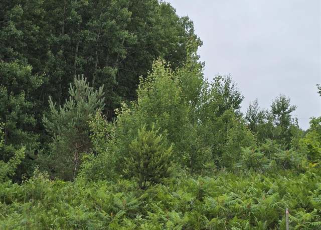 Property at V/L 00 N 9 Rd, Mesick, MI 49668