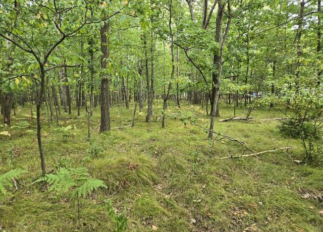 Property at 1009 Castle Dr, Lake Isabella, MI 48893