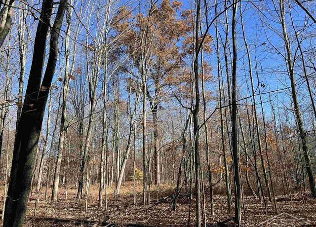 Property at VL W Baker Rd, Sanford, MI 48657
