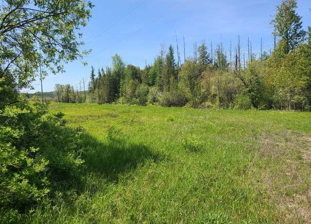 Property at 0000 Hebron Mail Route Rd, Cheboygan, MI 49721
