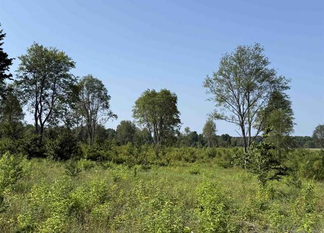 Property at Parcel A3 E Kasson Rd, Kasson Township, MI 49664