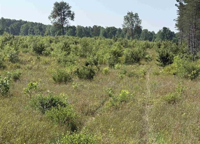 Property at Parcel A1 E Kasson Rd, Kasson Township, MI 49664