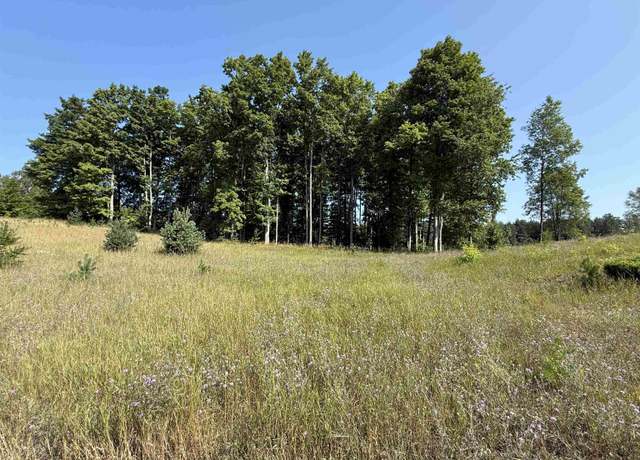 Property at Parcel A6 S Bright Rd, Kasson Township, MI 49664