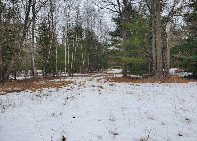 Property at 0 Rodnick Rd, Prescott, MI 48756