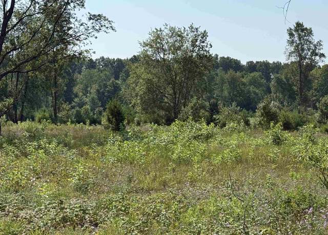Property at Parcel A8 S Bright Rd, Kasson Township, MI 49664