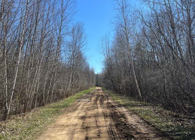 Property at 0 Chippewa Trl, Cass City, MI 48726