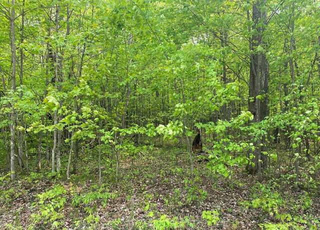 Property at Fribourg Dr, Reed City, MI 49677