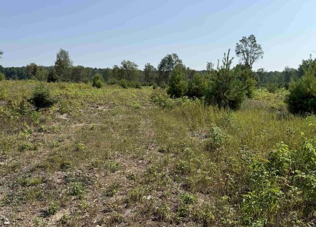 Property at Parcel A7 S Bright Rd, Kasson Township, MI 49664