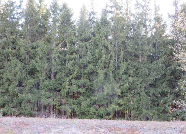 Property at 1015 Spruce Hollow Trce, Fife Lake, MI 49633