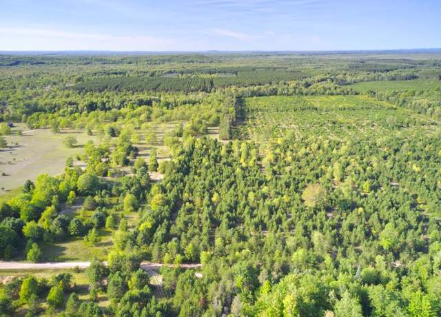 Property at 70 Acres B-C-D Wallin Rd, Thompsonville, MI 49683