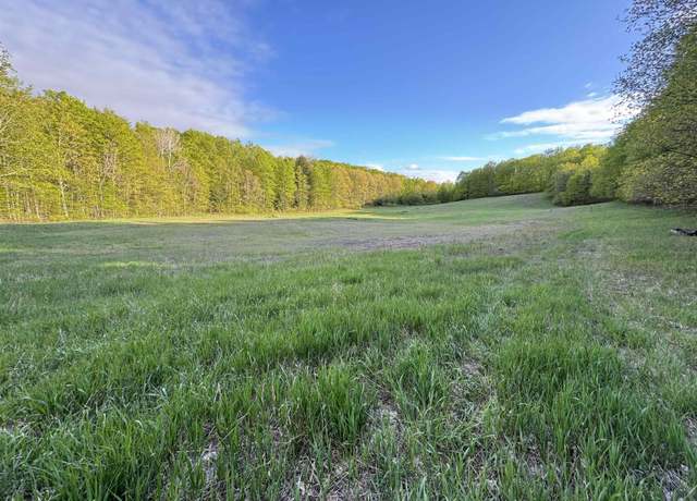 Property at 00 W Empire Hwy, Empire, MI 49630
