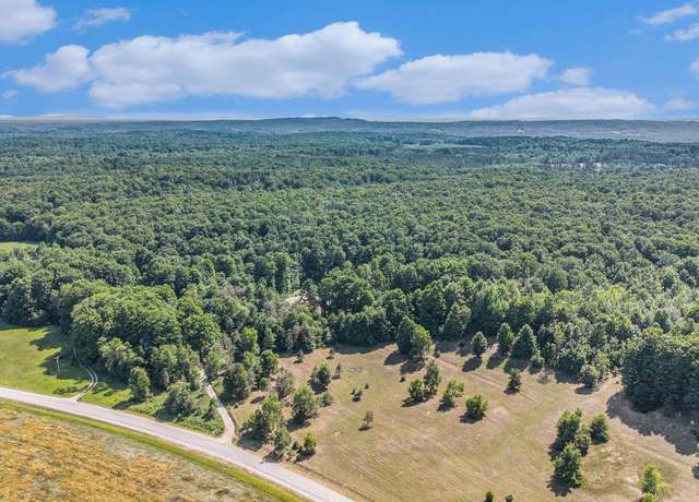 Property at 00 Valley Rd, Honor, MI 49640